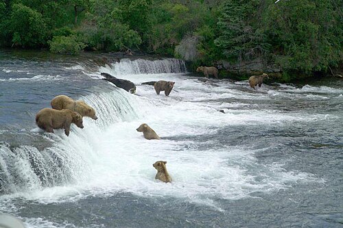Bristol Bay County