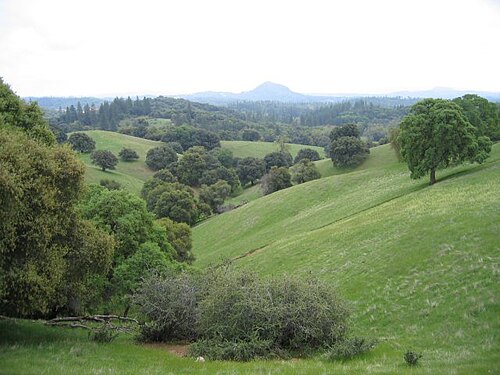 Amador County
