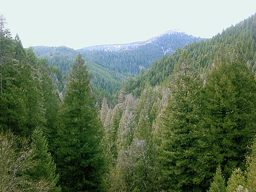 Sierra County
