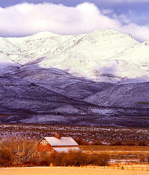 Owyhee County