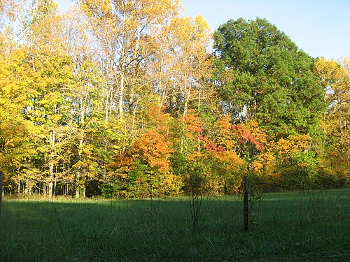 Lawrence County