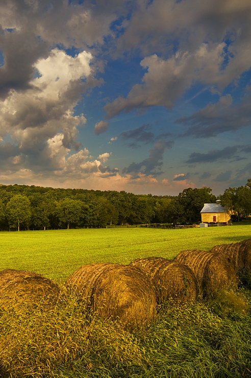 Douglas County