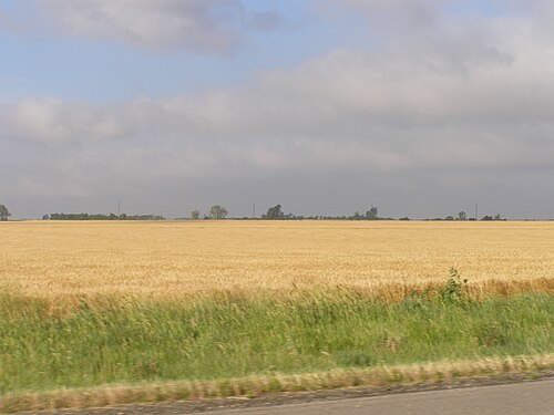Rice County