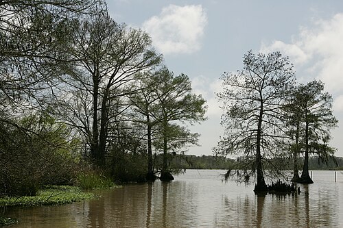 Cameron County
