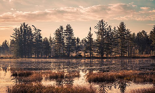 Luce County