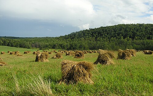 Steuben County