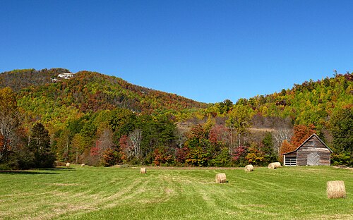 Alexander County