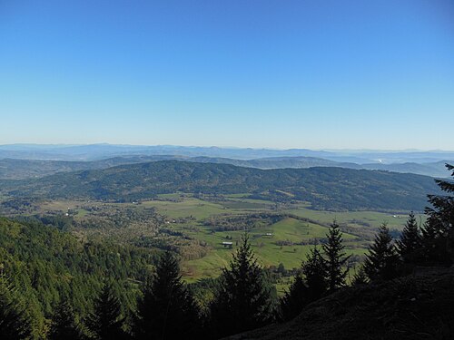 Douglas County