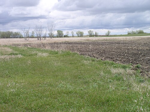 Campbell County