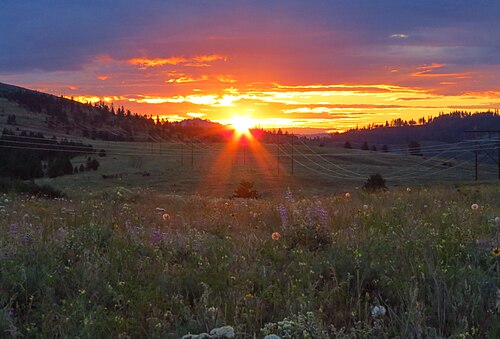 Ferry County