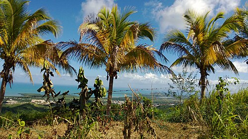 Ceiba County