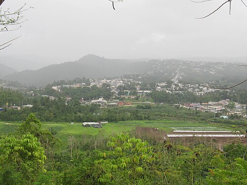 Ciales County
