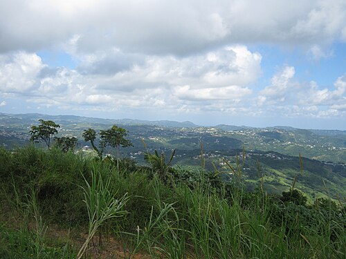 Cidra County