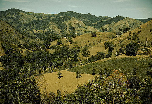 Corozal County