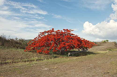Juana Díaz County