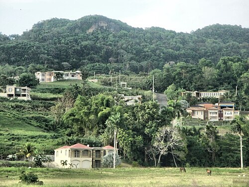 Moca County