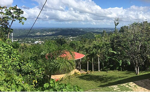 Morovis County